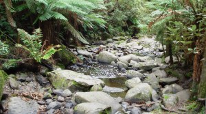 Australia in May 2008 039.jpg for blog